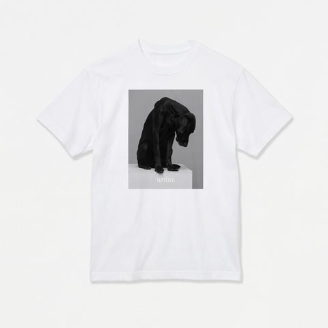 予約：urday【Animal／Black Dog／WB】フォトTシャツ（8398577）ホワイト/urday（マミアン）